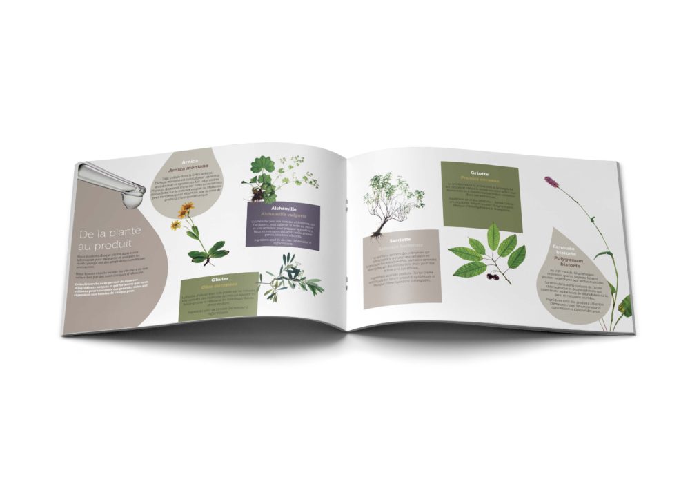 Les Laboratoires Phytodia – branding – identité visuelle – Les Créatonautes